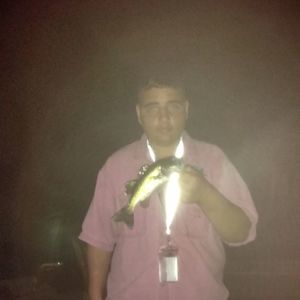 Meet your Posher, Brett