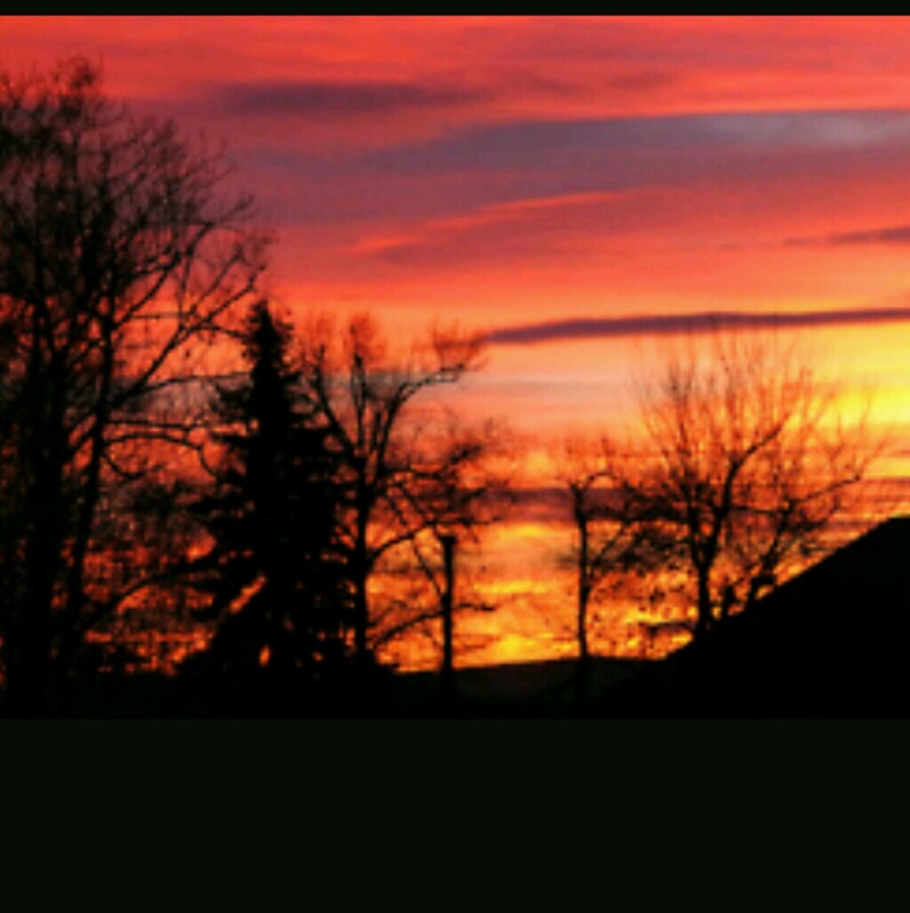 Meet your Posher, Lesley