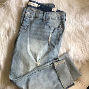 Torrid Jeans