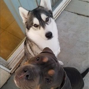 Meet your Posher, Jake