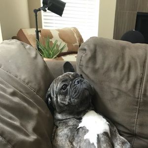 Meet your Posher, Kate