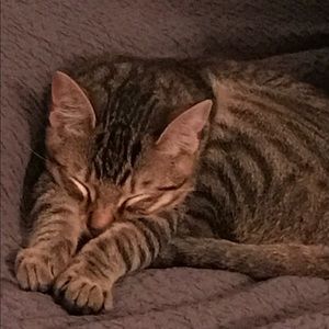 Meet your Posher, Amie