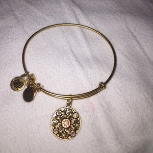 Alex and Ani Wings of Change Bracelet