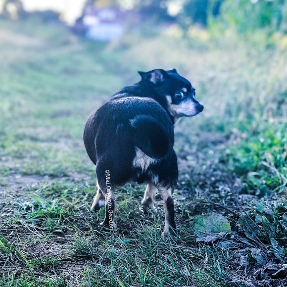 Meet Your Seller! - Picture 3 of 3