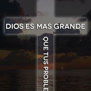 Meet your Posher, Alfredo