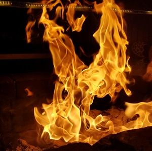 Meet your Posher, Ella