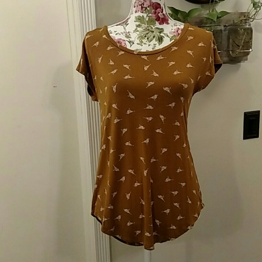 Maurices top