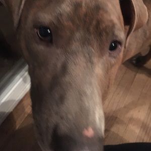 Meet your Posher, Gail