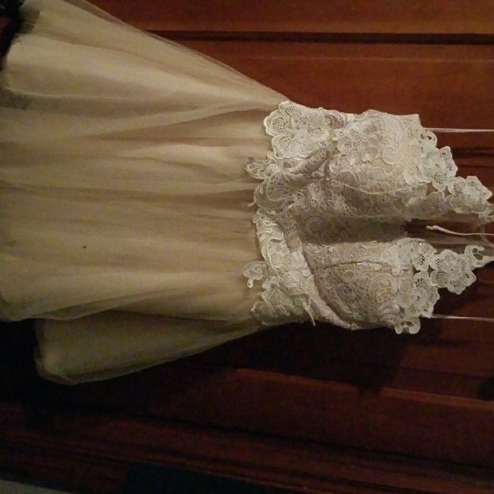 David's Bridal Dress