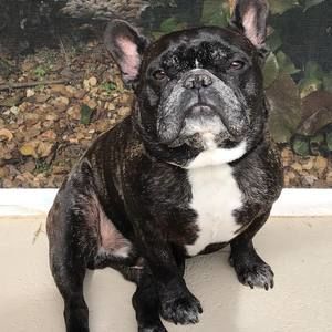 Meet your Posher, Paula