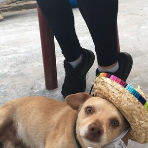 Meet your Posher, Heriberto