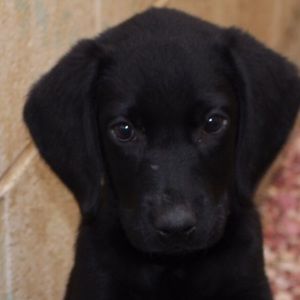 Meet your Posher, Sally