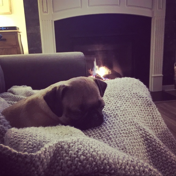 Meet your Posher, Stephene - Picture 1 of 1