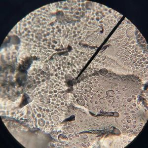 Meet your Posher, Jared