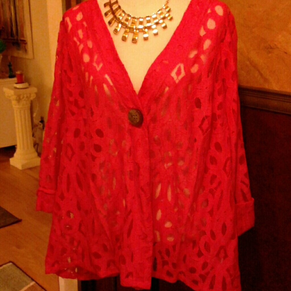 Beautiful sheer jacket