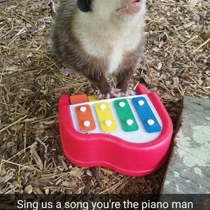 Meet your Posher, Sean