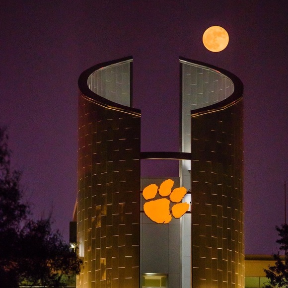 Meet your Posher, Adam - Picture 1 of 1