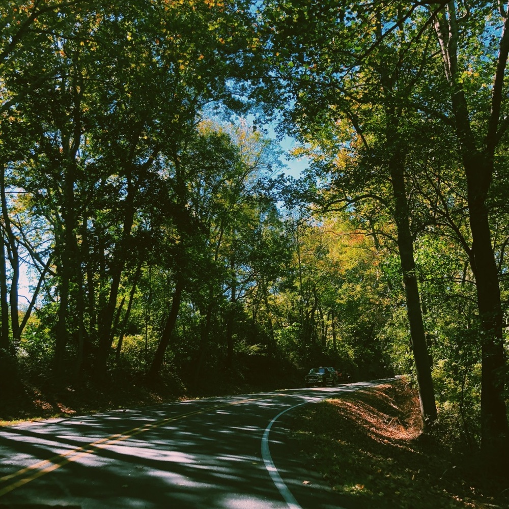 Meet your Posher, Chloe