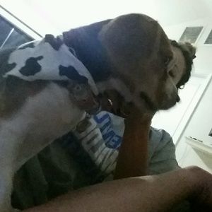 Meet your Posher, Anthony