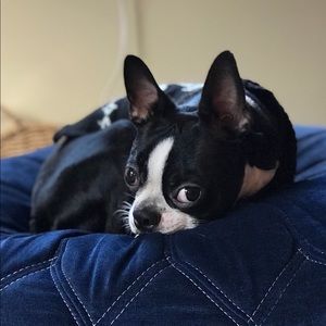 Meet your Posher, Julian