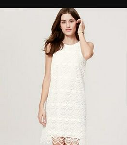 Petite Scallop Lace Dress
