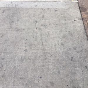 Meet your Posher, Trisha