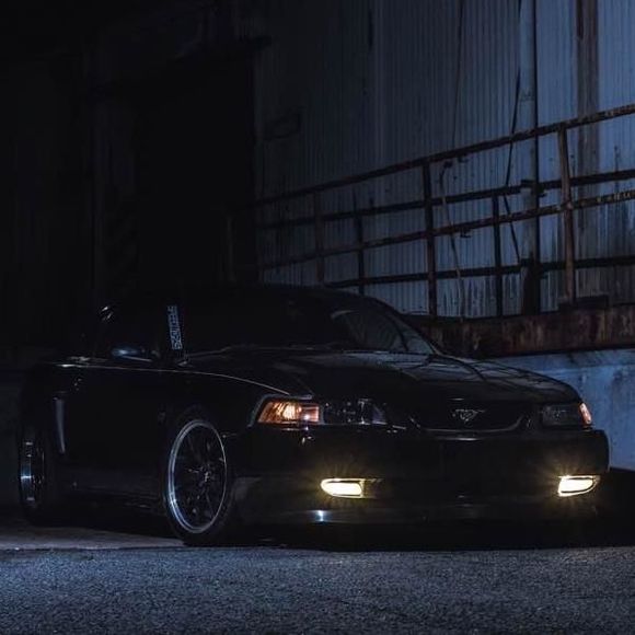 Meet your Posher, Jesse - Picture 1 of 1