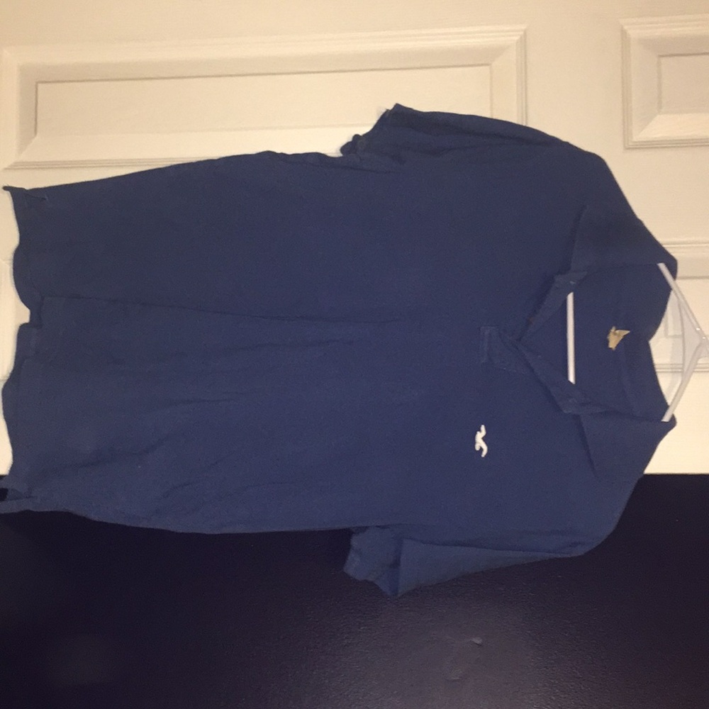 Men's Hollister collard tee-shirt (blue)