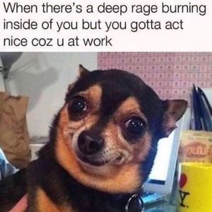 Meet your Posher, Jean