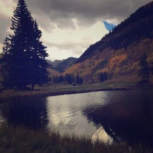 Meet your Posher, Robyn