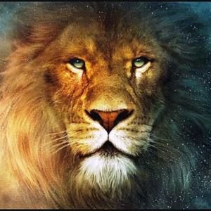 Meet your Posher, Oscar