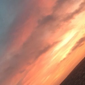 Meet your Posher, Chloe