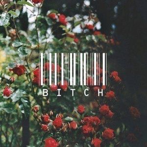 Meet your Posher, Cris