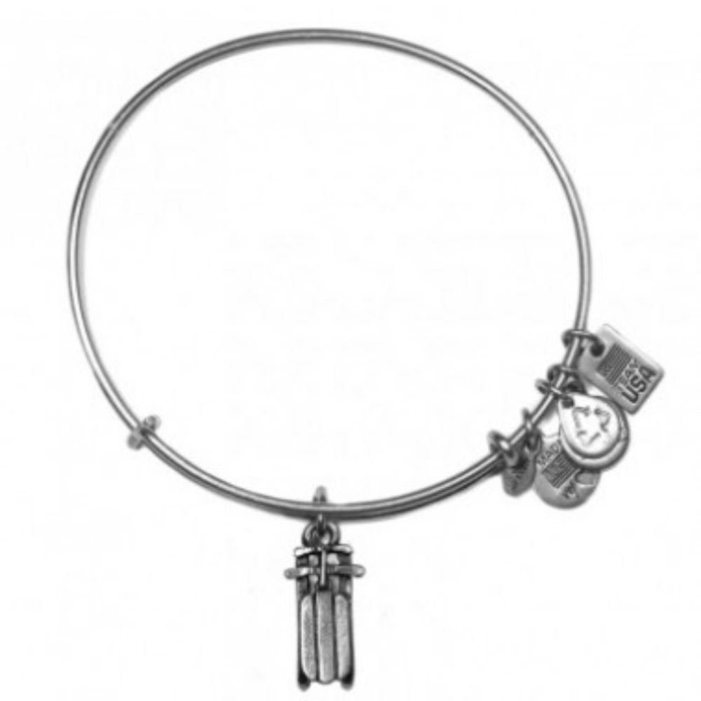 Alex and Ani Team USA Sled silver rare retired NWT