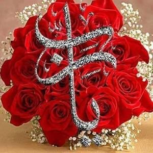 Meet your Posher, Dahba