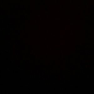 Meet your Posher, Jaylynn