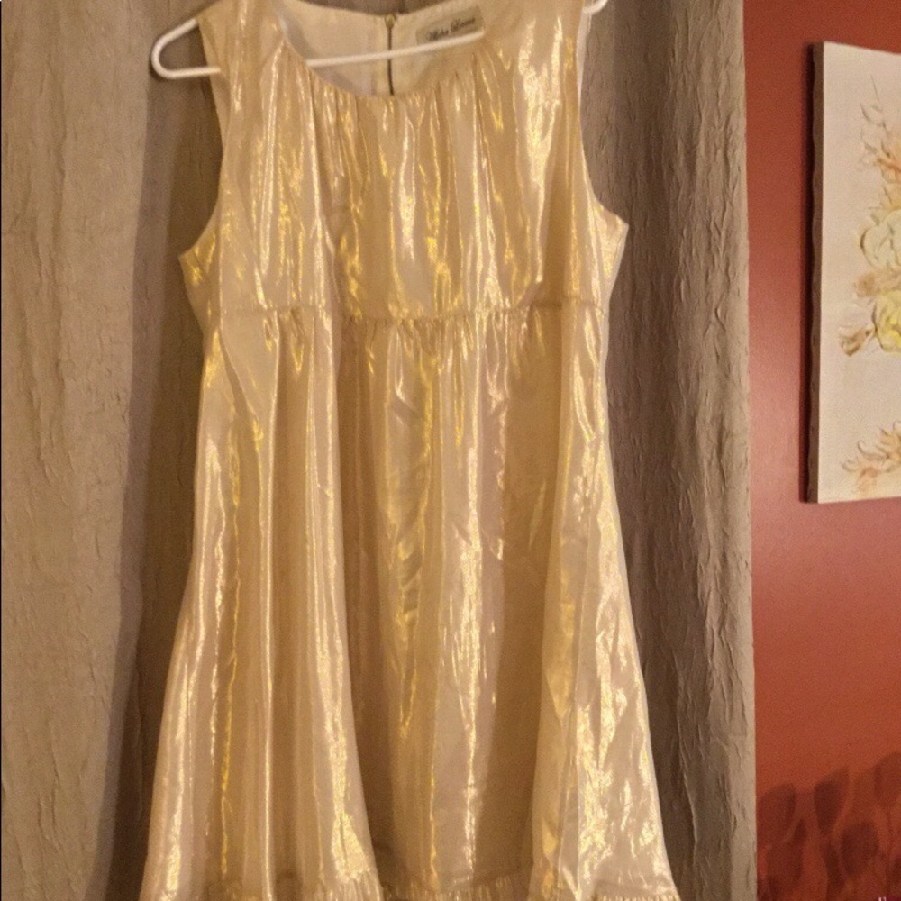 Gorgeous Feminine Women’s Holiday Dress