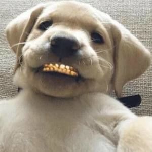 Meet your Posher, Johnny