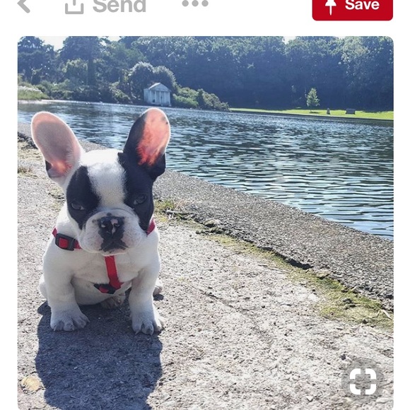 Meet your Posher, Amanda - Picture 1 of 1