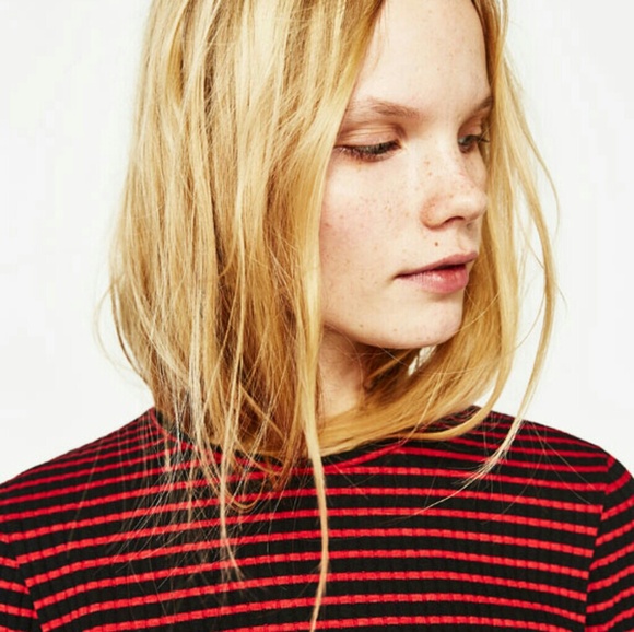 ZARA Fine Ribbed Stripped New Sweater - Picture 6 of 7