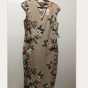 Winter Floral Fitted Dress 👗 Super Pretty