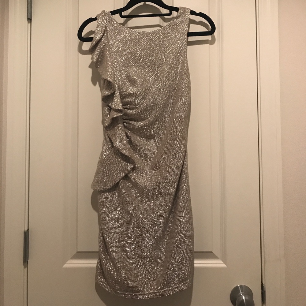 Platinum Fitted Evening Dress