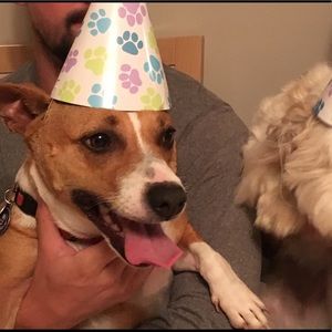 Meet your Posher, Kathy