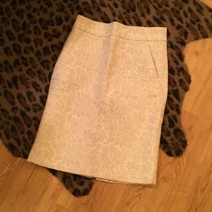 Old Navy Skirt