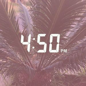 Meet your Posher, Esmeralda