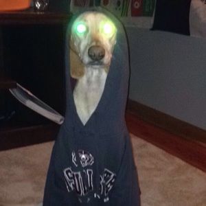 Meet your Posher, Sam