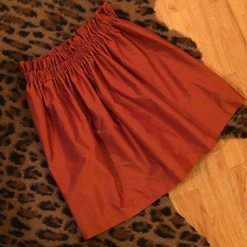 Zara Skirt