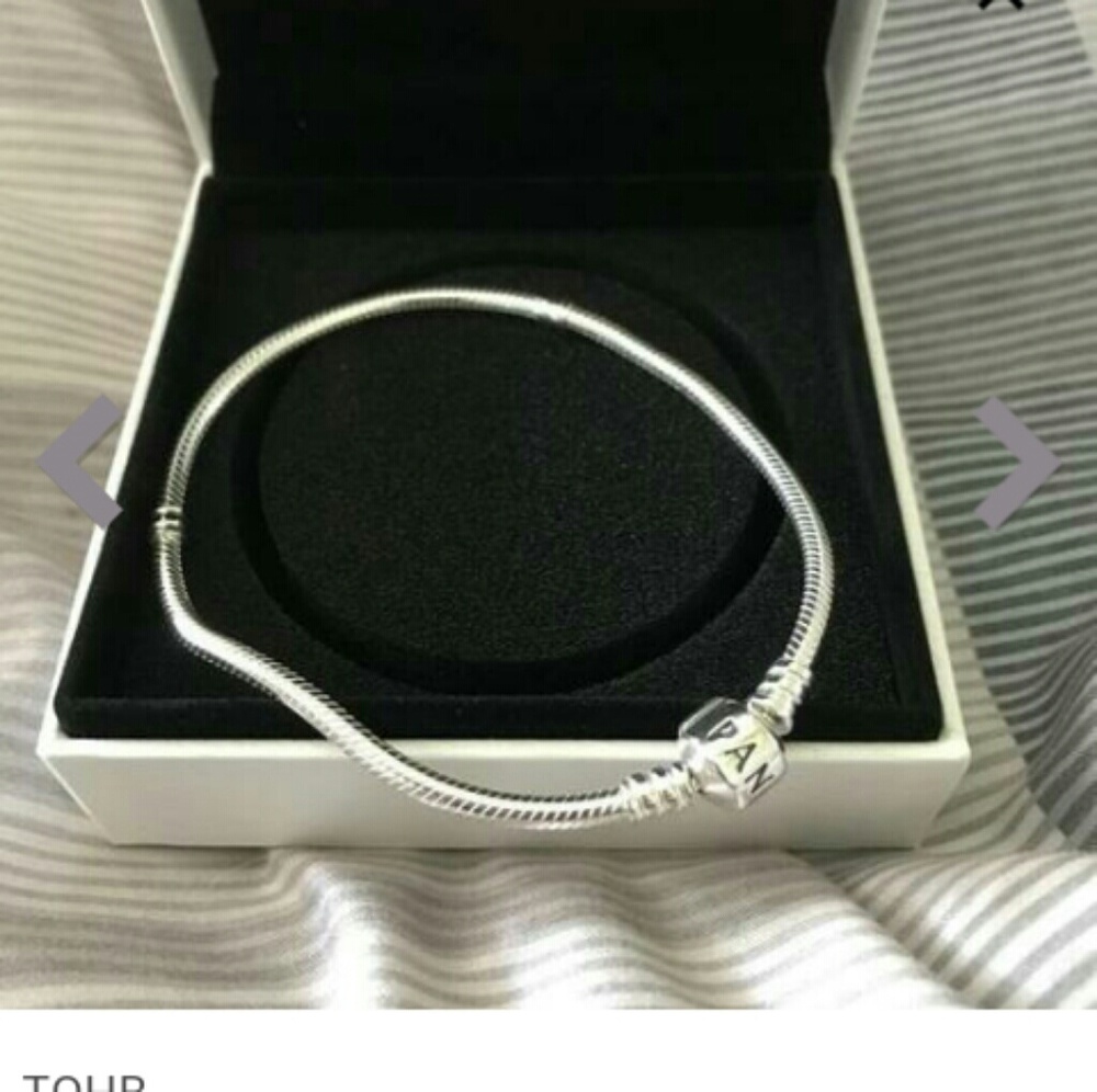 Iconic Pandora charm bracelet