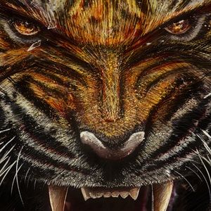 Meet your Posher, Caleb