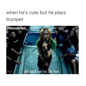 Meet your Posher, Misty